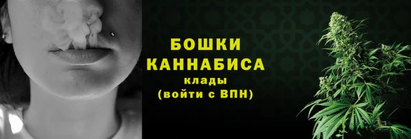мдпв Кулебаки