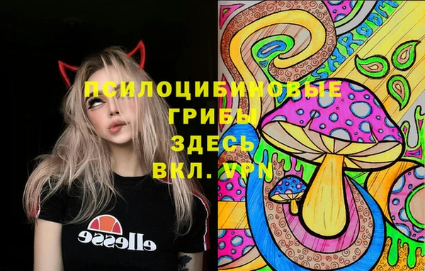 мдпв Кулебаки