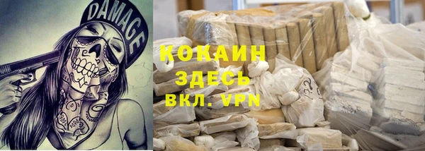 ГАЛЛЮЦИНОГЕННЫЕ ГРИБЫ Кукмор