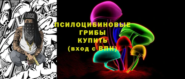 мдпв Кулебаки