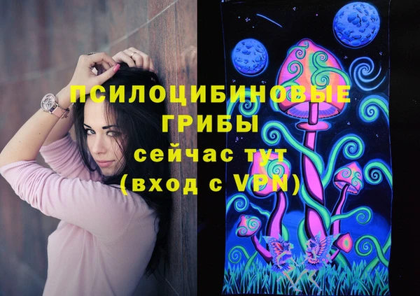мдпв Кулебаки